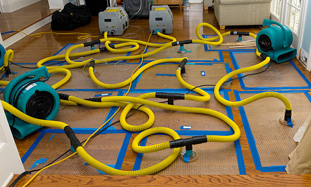 Professional Emergency Water Removal technician working in Harcourt, IA
